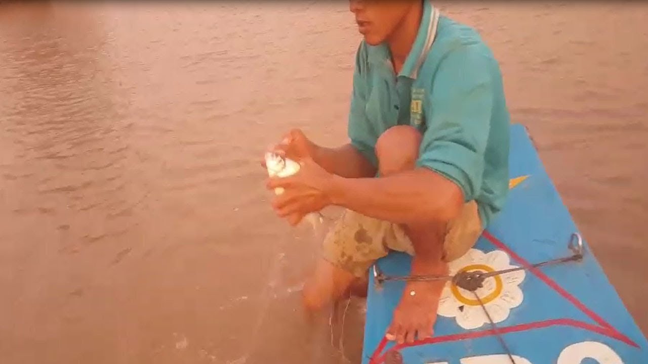 New Techniques For Catch Fish on River Using Nets And This Man has Catch Fish Every Day of