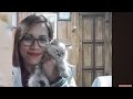 Ana OS TV : Silent Livestream for WatchHour l Love you all