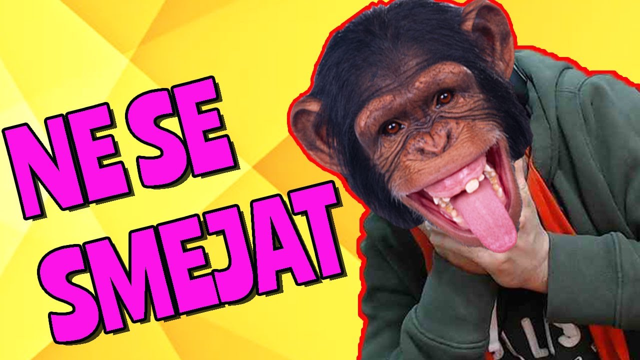 #3 🤣NE SE SMEJAT ČALENDŽ🤣