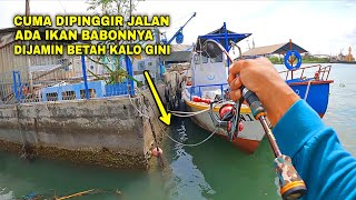 Download Lagu GAMPANG BANGET🔥‼️SPOT GRATIS CUMA DIPINGGIR JALAN TAPI BANYAK JUGA IKANNYA🔥 MP3