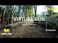 Virtual run mt wellington  kunanyi trail run 4k  treadmill workout  virtual run scenery tasmania