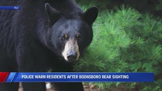 Bear spotted in the Boonsboro area: Police warn residents to be aware