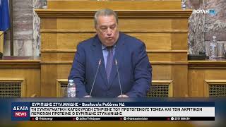 Πρόταση Ε. Στυλιανίδη για συνταγματική κατοχύρωση των ακριτικών περιοχών και του πρωτογενούς τομέα
