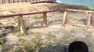 Salalah sea geyser 2013 نافورات/ نوافير/نافورة صلالة البحرية الطبيعية