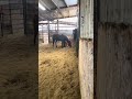 One way to use a big ball