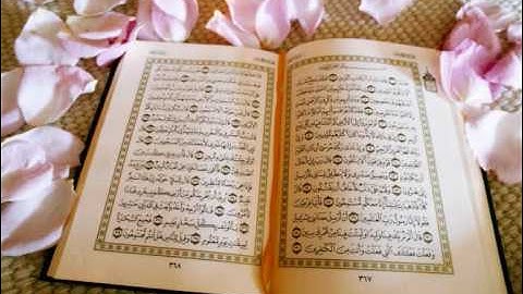 تلاوة رائعة الشيخ زيد البحري سورة الهمزة  Quran  Zayd Albahri