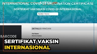 Kemenkes Mengeluarkan Sertifikat Vaksin Standar WHO, Begini Cara Membuatnya