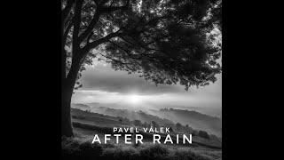 Pavel Válek - After Rain