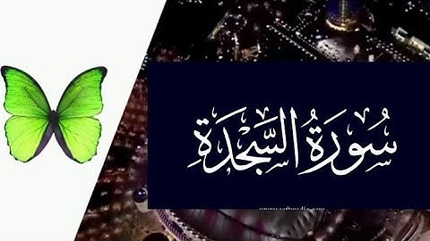 SURAH SAJDA  سورة السجدة تلاوة تسعد النفوس مع فضيلة الشيخ / أحمد خضر