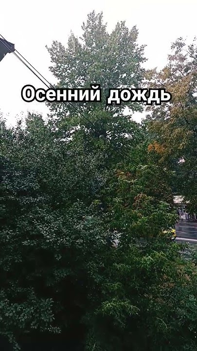 Осенний дождь - YouTube