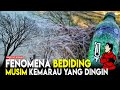 Musim Dingin di Pulau Jawa Akibat Monsun Australia: Suhu Menusuk Tulang, Persiapan Penting!