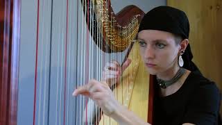 Davy Jones - Pirates of the Caribbean | harp version