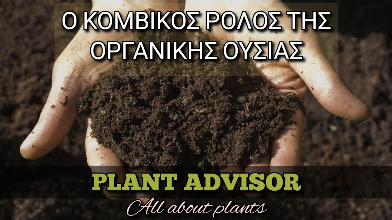 Ο ρόλος της Οργανικής Ουσίας στο Έδαφος ‼️Που Συνεισφέρει και με Ποιο Τρόπο ⁉️Plant Advisor Greece