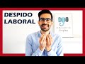 ME HAN DESPEDIDO 😡 Cómo superar un DESPIDO laboral