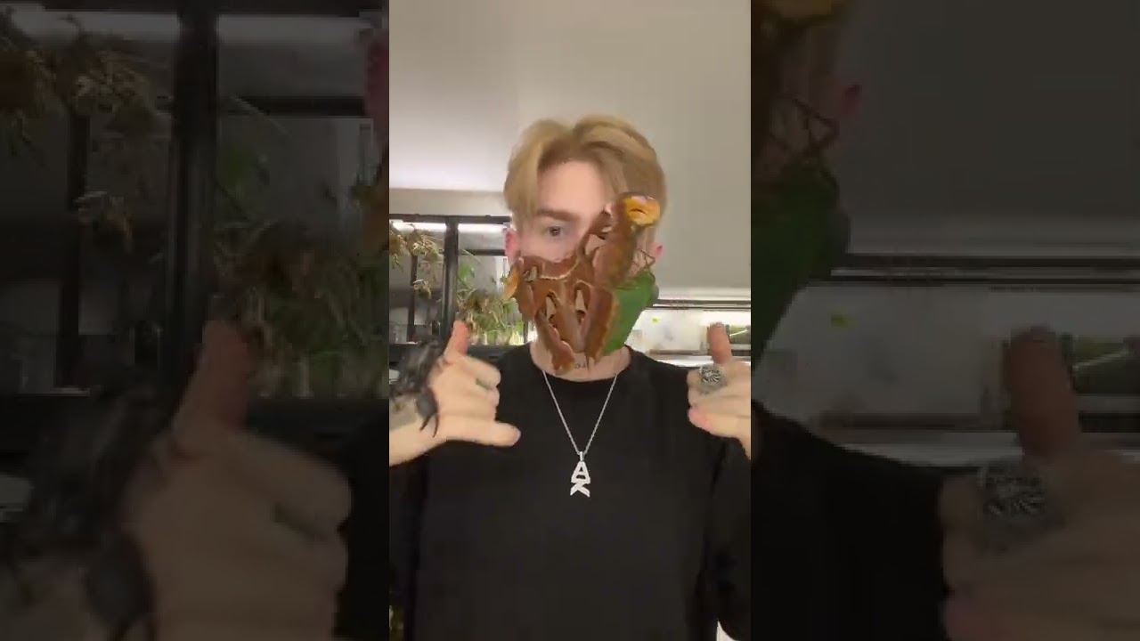 Adrian Kozakiewicz on Paro - Nej | alo alo song