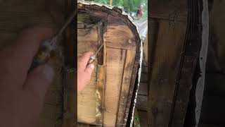Rebuilding a truck bed camper! #redbanksclassics #trending #rebuild #diy #camper #twister #k10 #cool
