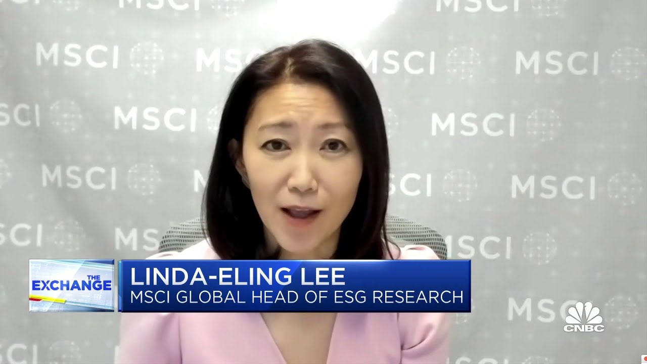 MSCI Global Head of ESG Research warns Big Tech could feel ESG divestment pressure