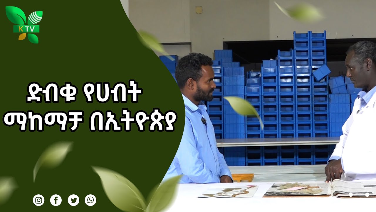 ድብቁ የሀብት ማከማቻ በኢትዮጵያ