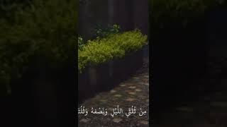 لا اله الا انت سبحانك اني كنت من الظالمينقرآن استغفر_الله سبحان_الله