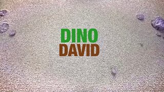 Dino Field Guide Reaction Video part 1