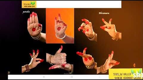 Revision| CLASS 3 ENVIRONMENTAL STUDIES | EVS | SAYING WITHOUT SPEAKING #TATLMVALLEY