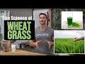 The Science of Wheat Grass, Why it