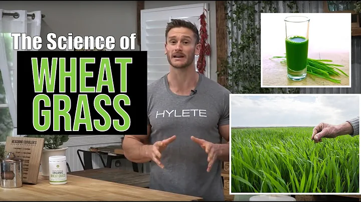 The Science of Wheat Grass, Why it's So Good for Y...