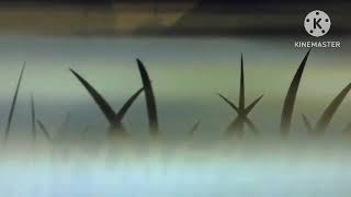 Nature Cat By Remains Of The Day