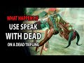 Baldur's Gate 3 - What Happens If You Use Speak With Dead On A Dead Tiefling