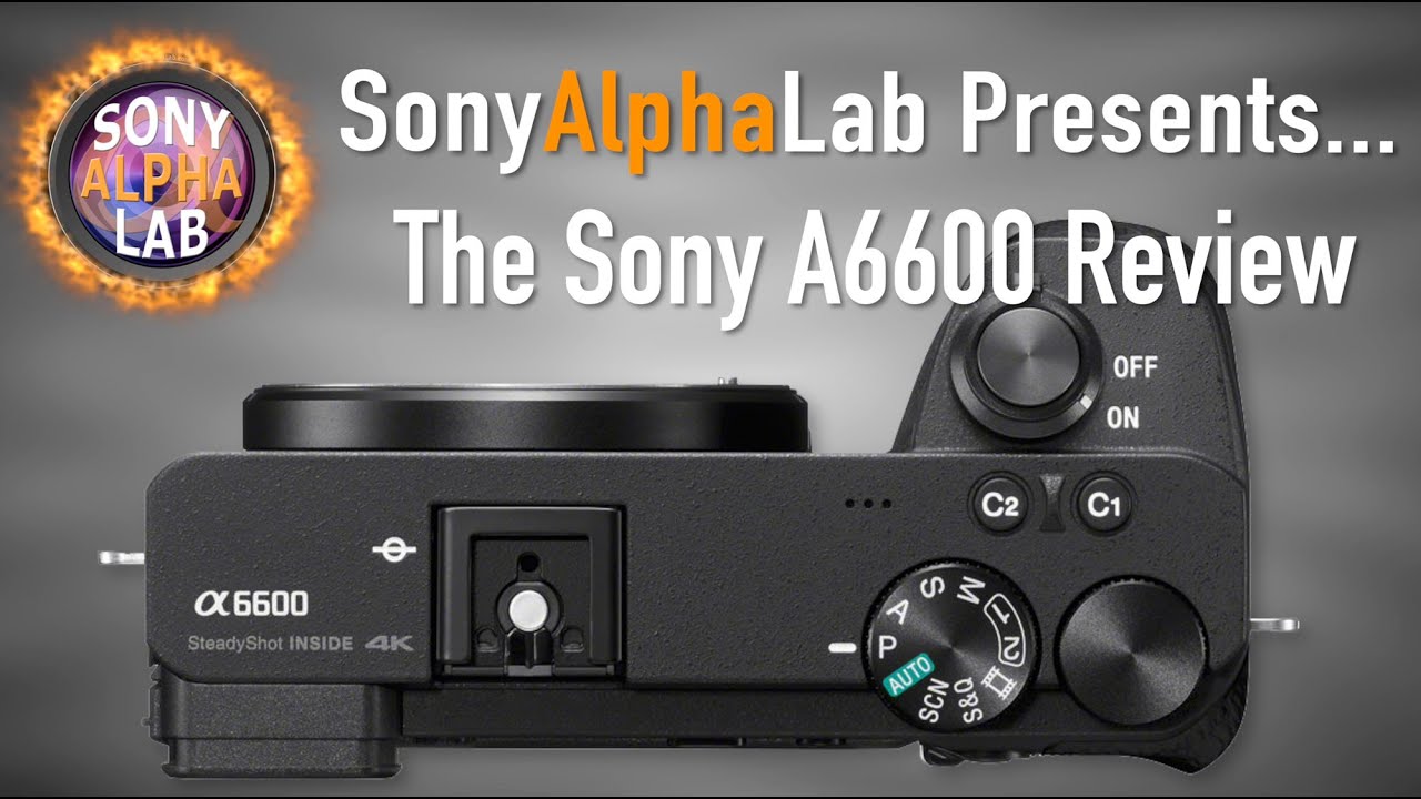 Sony Alpha ILCE-6600/B E38 CUERPO – Viewhaus