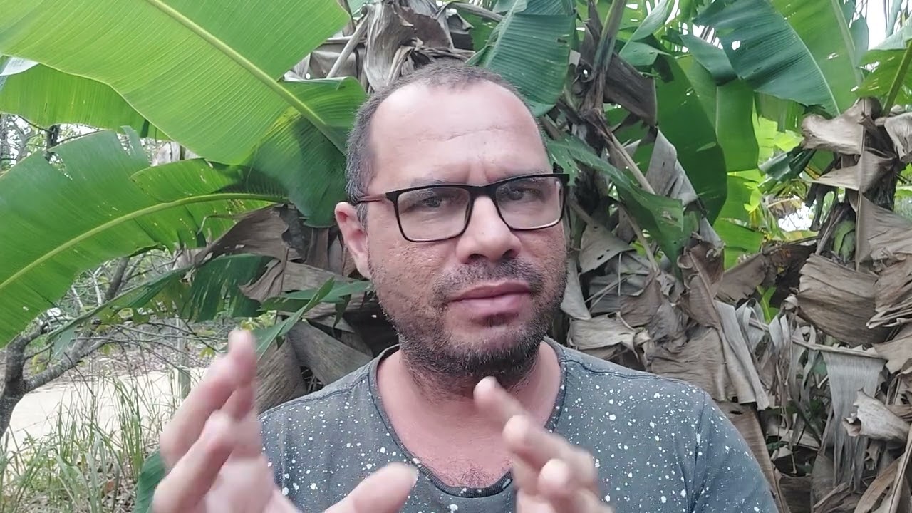 Os desafios de se plantar em solo arenoso.