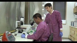 High School Students Become Partners For the Future at Cold Spring Harbor Labs