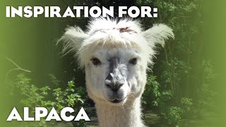 40 Alpaca Habitats! (Barnyard Animal Pack Inspiration)