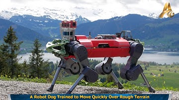A Robot Dog Trained to Move Quickly Over Rough Terrain