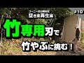 竹専用刃で竹やぶに挑む！ ～空き家再生編＃10～