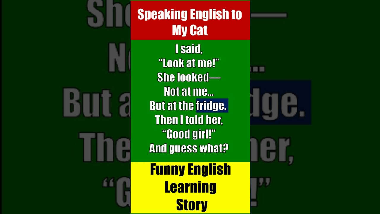 Speaking English to My Cat for the First Time 😹 | Funny English Learning Story.