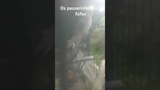 30 De Dezembro De 2024