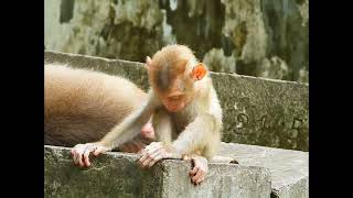 Mommy Sleep And Baby Lucie Sitting