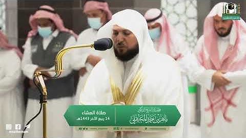تلاوة مرئية من صلاة العشاء | الجمعة 14 ربيع الآخر 1443 لفضيلة الشيخ د.ماهر المعيقلي من المسجد الحرام