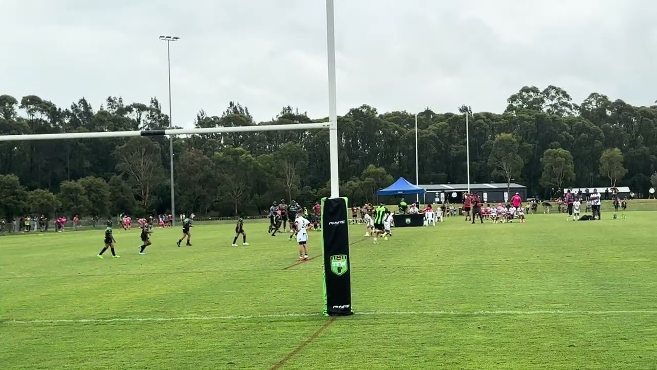 Black Armor V HummDingers U9 2nd Half G1D1