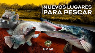 Explorando nuevos lugares para pescar LOBINAS CATAN TILAPIA BAGRE BESUGO METAPIL MOJARRAS y más.