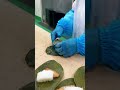 「のどぐろ」や「サーモン」が入った【柿の葉寿し】
