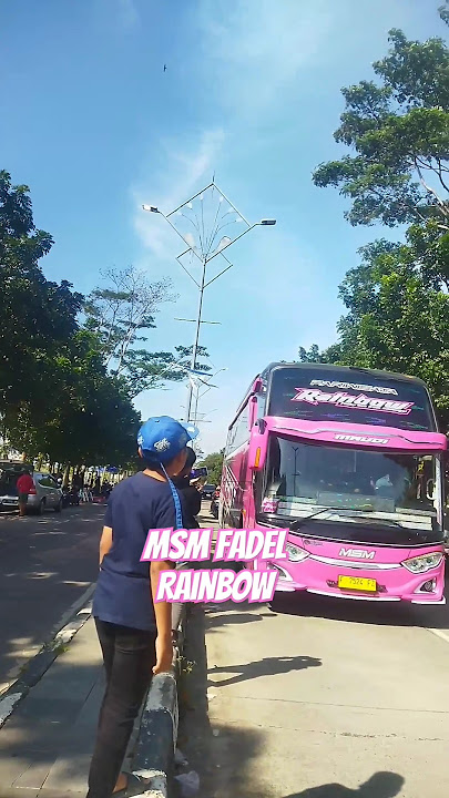 MSM FADEL RAINBOW Basuri nada Cinderella kebalik##basuriviral