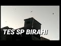 Tes Suara Panggil Birahi Rayuan Maut Mp3 - Mp4 Download