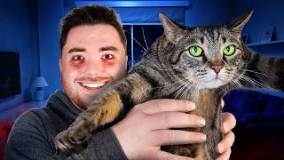 WATCH MY CAT PLEASE... (Crazy New Game) screenshot 3