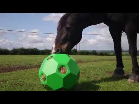 PARALLAX PLASTICS - Balle à foin Hay Play - Paddock Animal