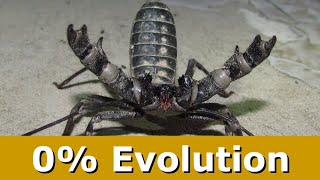 Natural Science Without Evolution--Introduction