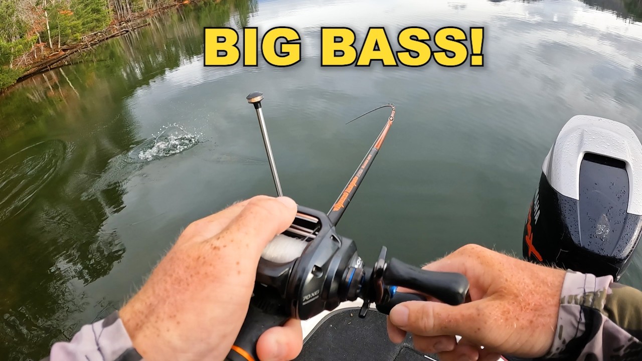 Lake Burton has BIG BASS – 3/8/26