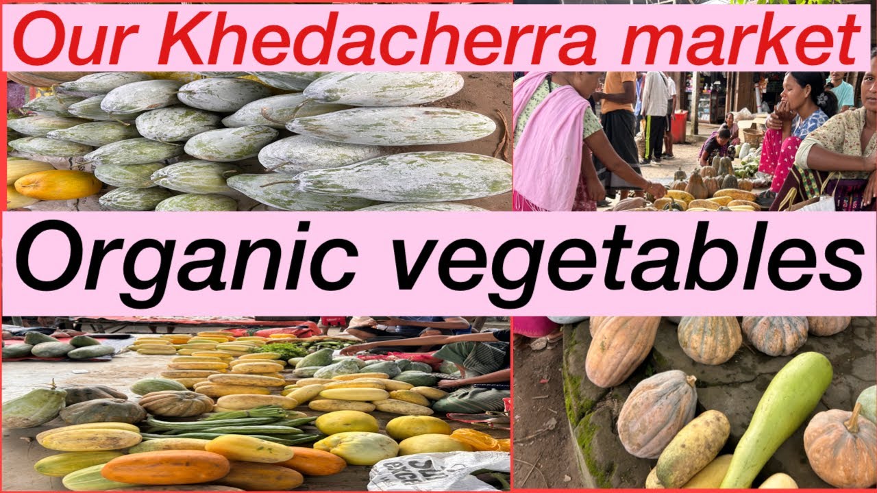 Tini Kisa Marketing Khy Mani Khedacherra Market Day ou/ Tiprasa Lifestyle Vlogs ❤️