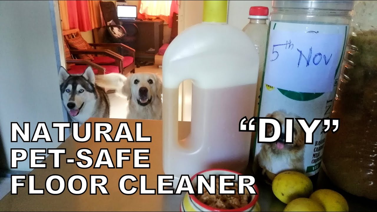 Pet Safe Floor Cleaner Diy Natural